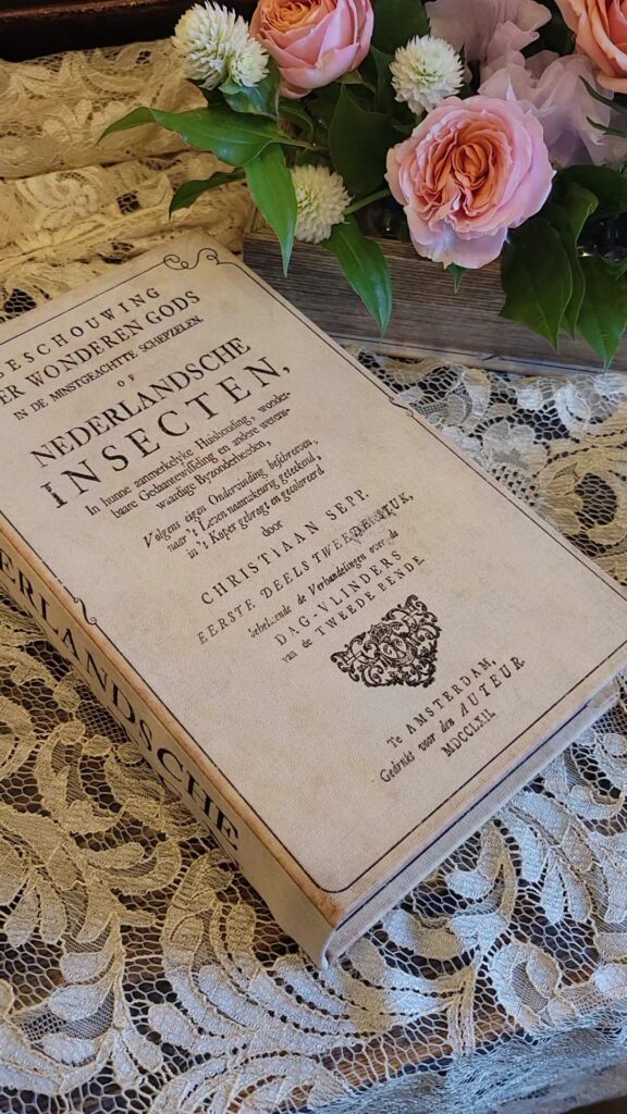 BOOK型アレンジメント　フラワーアレンジメント教室横浜